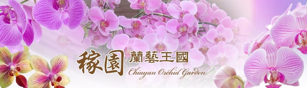 稼園廣告